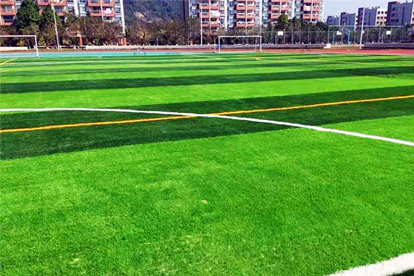 綠色未來(lái)，用心鋪就——沈陽(yáng)人造草坪生產(chǎn)廠家參與全國(guó)低碳日